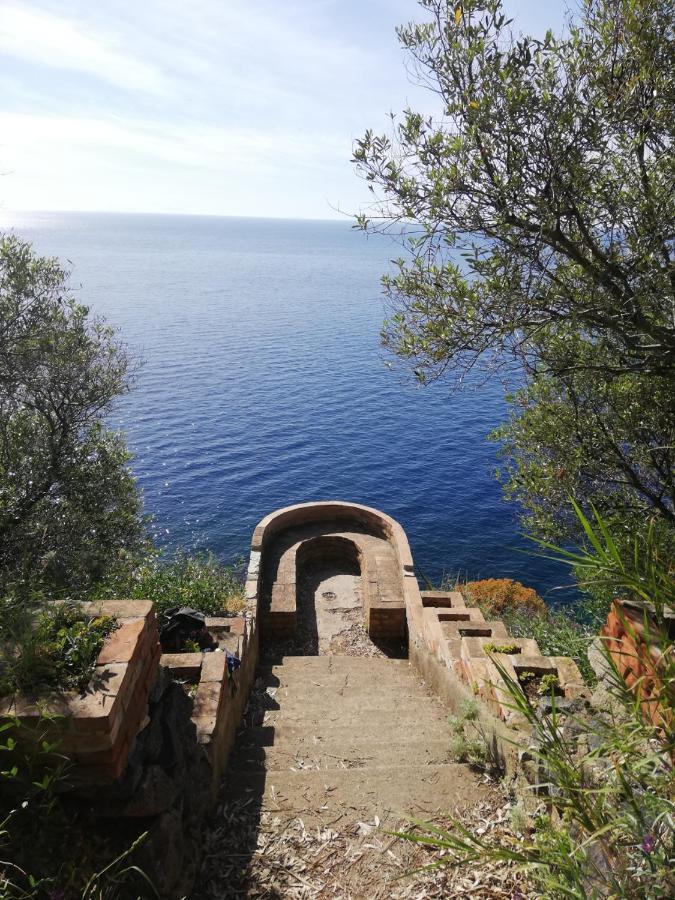 B&B Centro Storico 900 Palmi Eksteriør billede